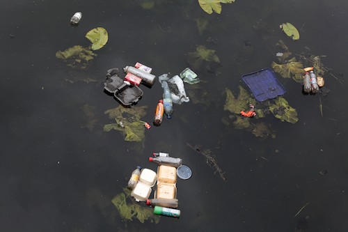 Newry Canal Litter